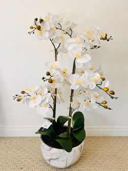 Beautiful Artificial orchid Bloom