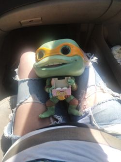 Collectible Ninja Turtles