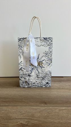 Dior Shopping Bag