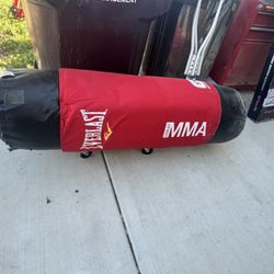 Free Punching Bag