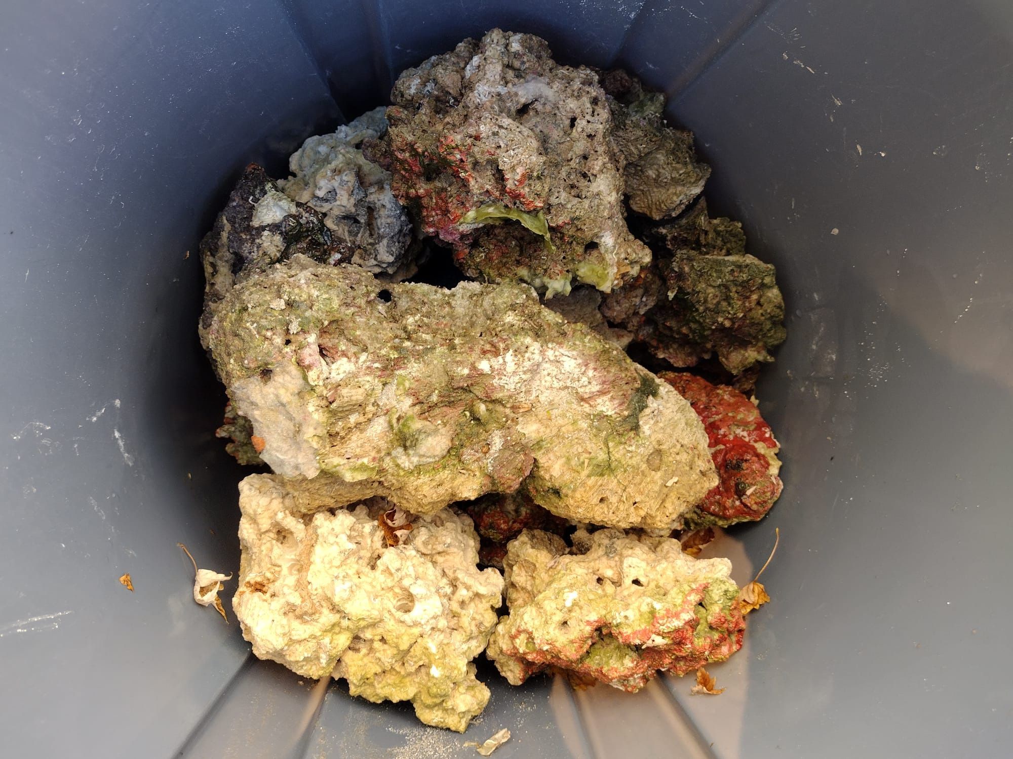 Saltwater Rocks
