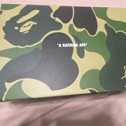 A Bathing Ape Shoe