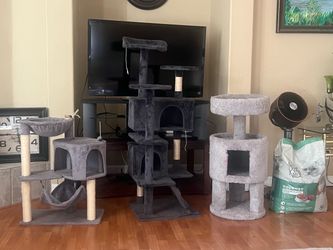 Cat towers & food