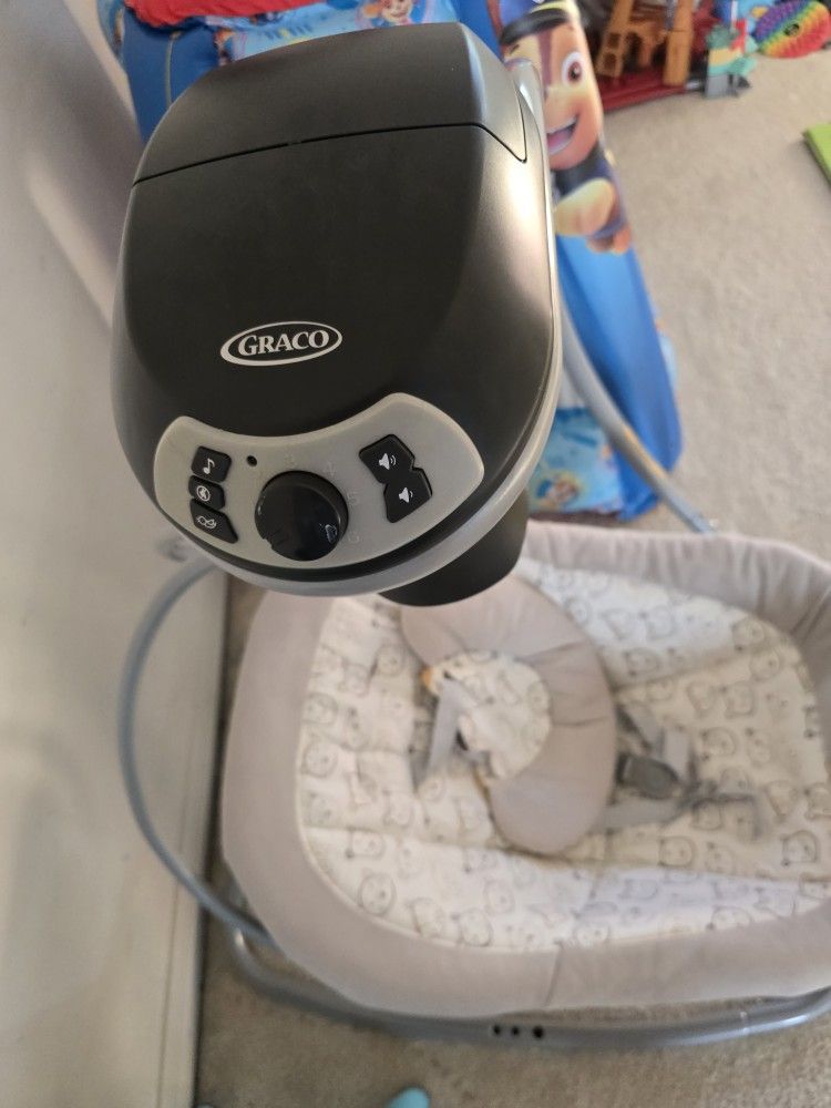 Baby Swing.
