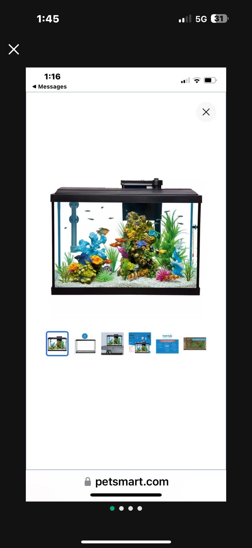 Fish Tank