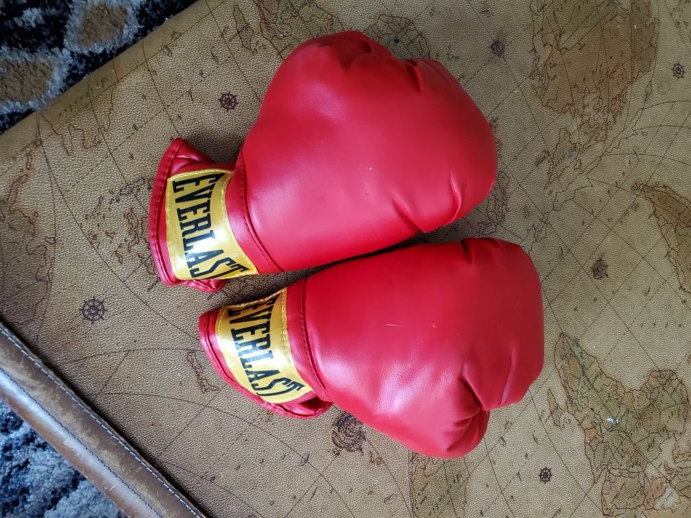 Everlast boxing gloves