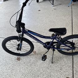 Schwinn 20 inch boys bike