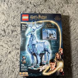 Retired Harry Potter Set 