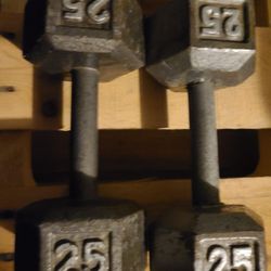 25lbs dumbbells