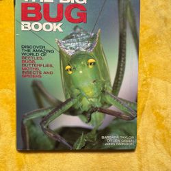 Big Bug Book