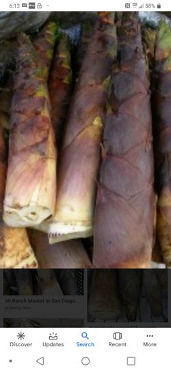 Bammboo shoot 竹笋