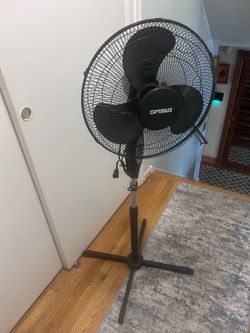 Standing Fan