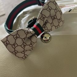 Designer Style Pet Collars Size Medium 