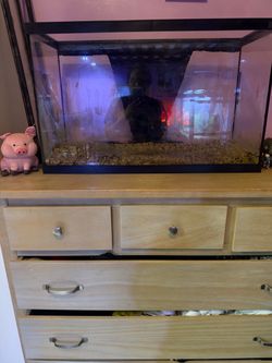 40 Gallon ( Tall Tank)