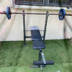 Gold's Gym XR 6.1 Weight Bench + 145lb Weider Olympic Weight Set - Local Delivery for a Fee 💪🏽