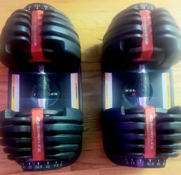 Bowflex SelectTech 552 Adjustable Dumbbells