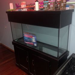 Fish Tank With light 