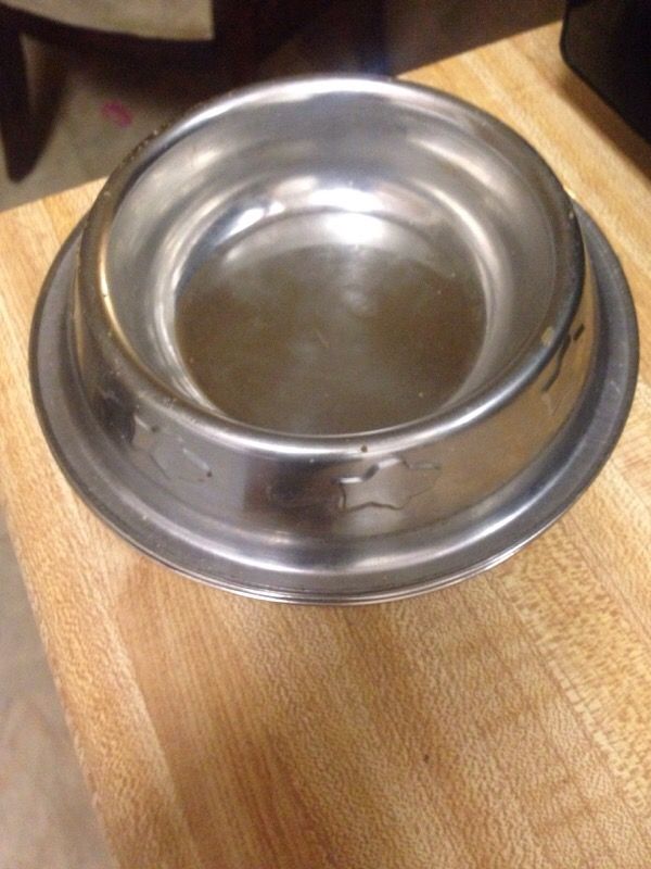 2 kitten/small metal dog bowls