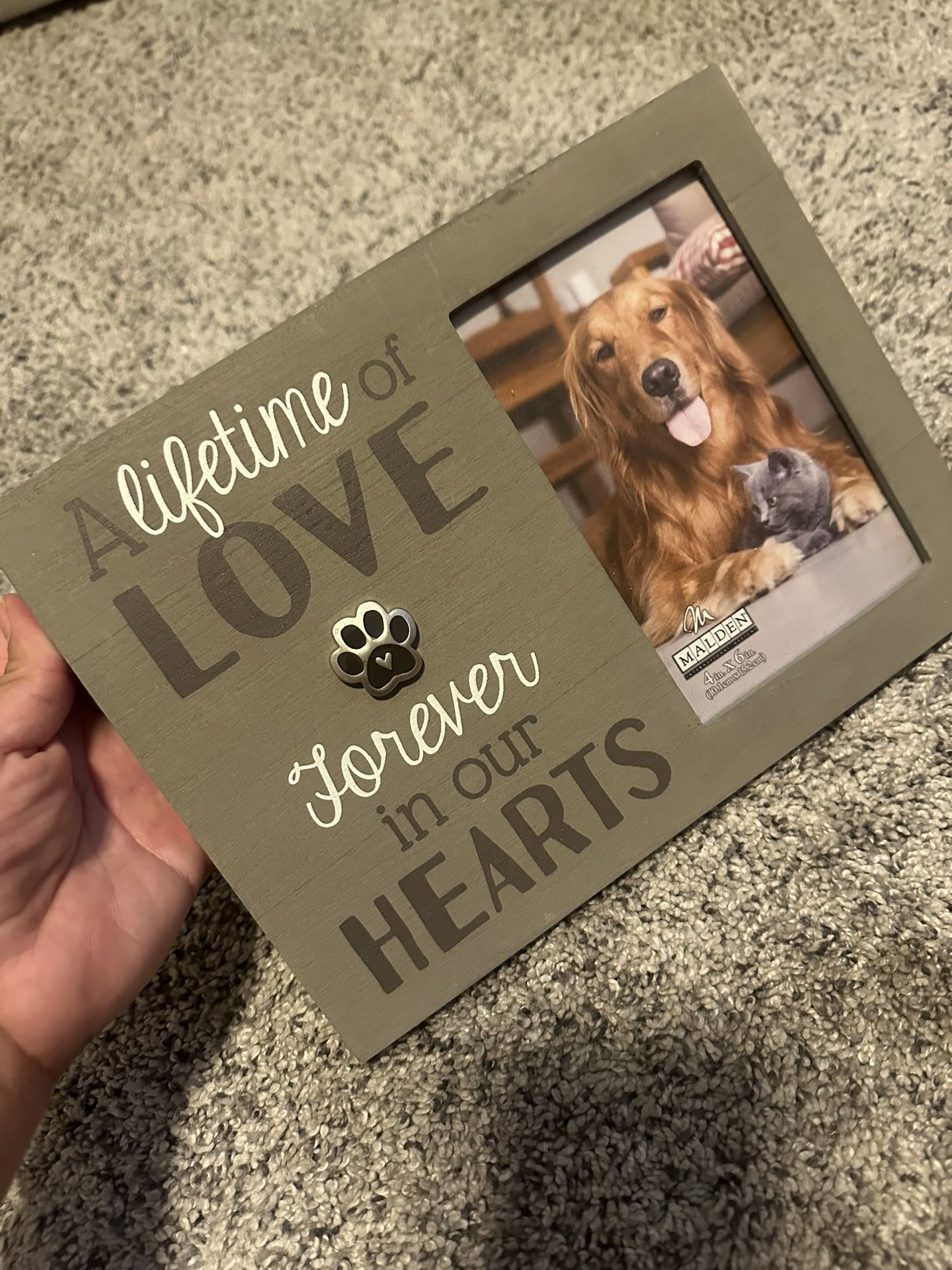 Pet Picture Frame