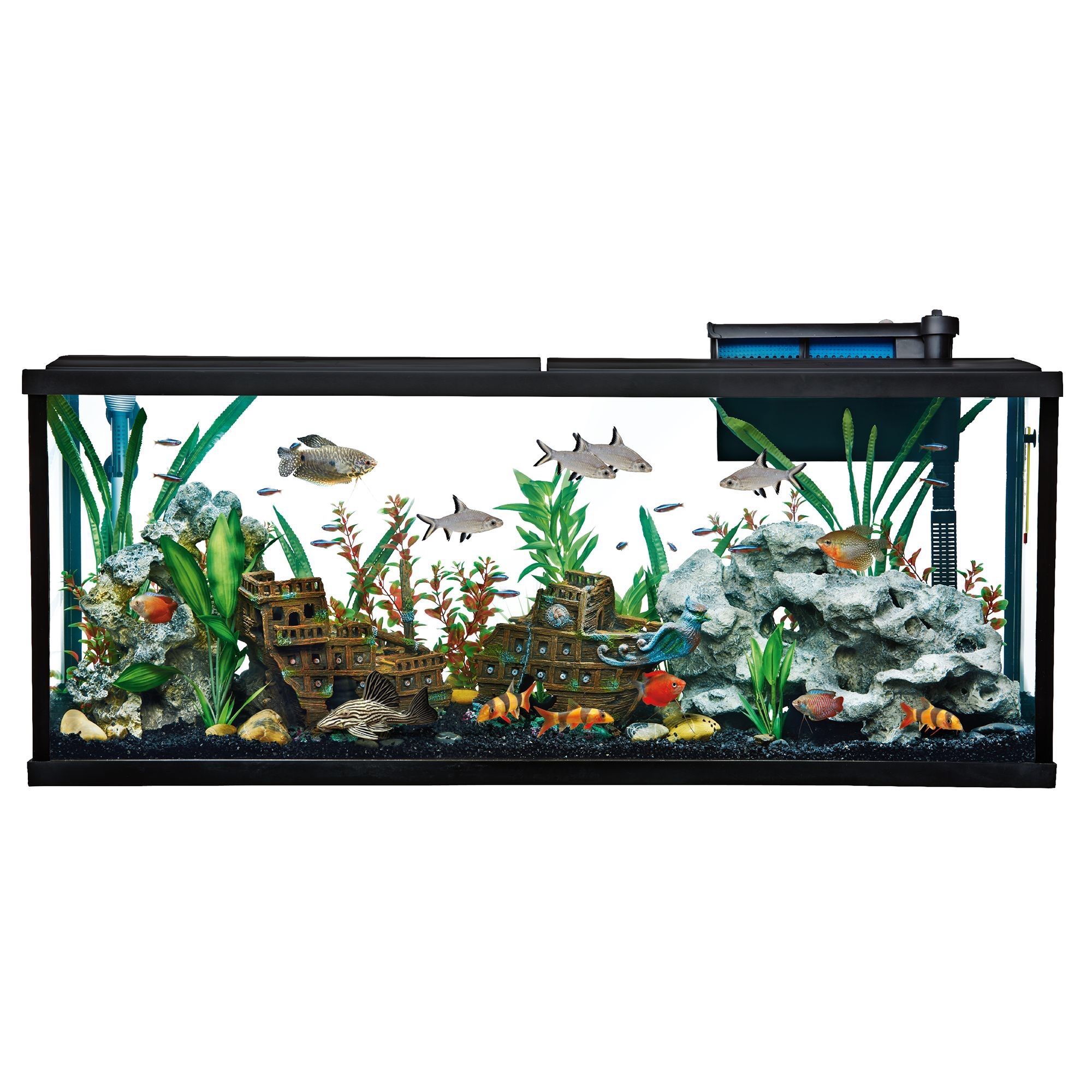 55 gallon fish tank for clearance sale