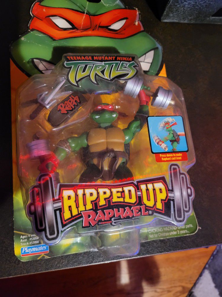 Mutant Ninja Turtle Ripped Up Raphael