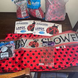 Lady Bug Theme Party Supplies