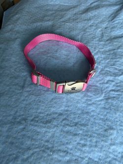 Large Pink dog Collar
