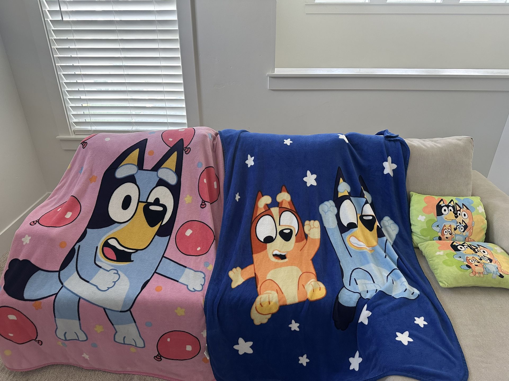 Bluey blankets and pillows