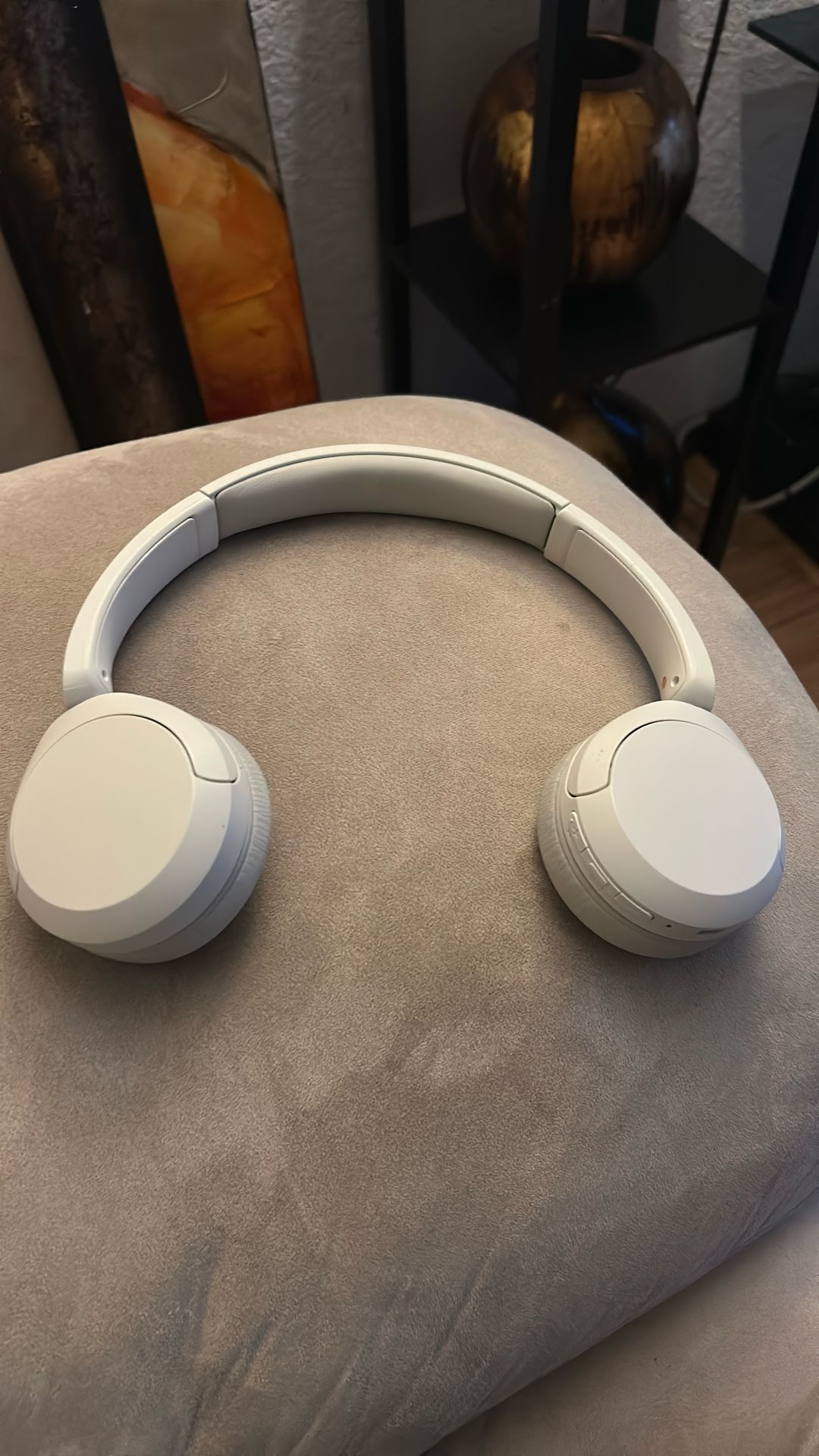 Sony Headphones