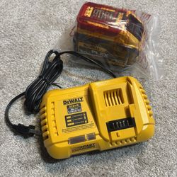 Dewalt 9ah battery and rapid charger 