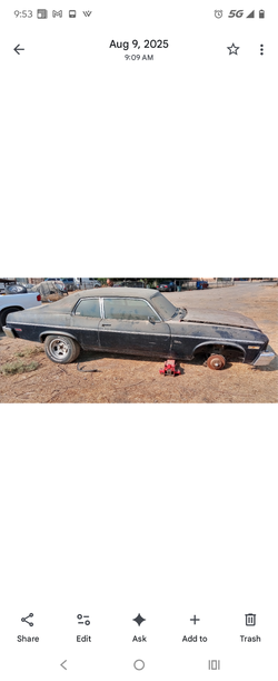 1973 nova