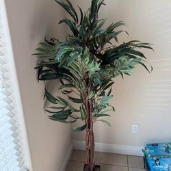 Faux Ficus Tree 