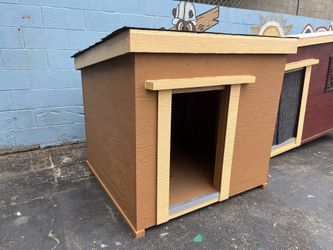 Dog house for big pets