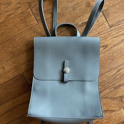 Grey Purse Backpack -approx 10 X 12”