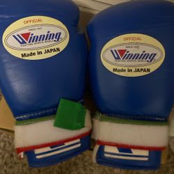 Winning Gloves 10 oz 
