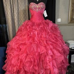 Mary’s Quinceañera Dress 