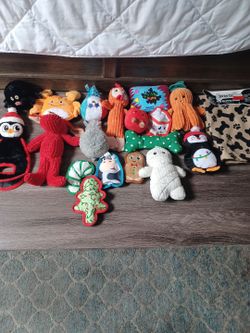 New dog toys +bath towl
