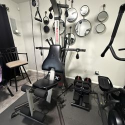 Bowflex Xtreme 2