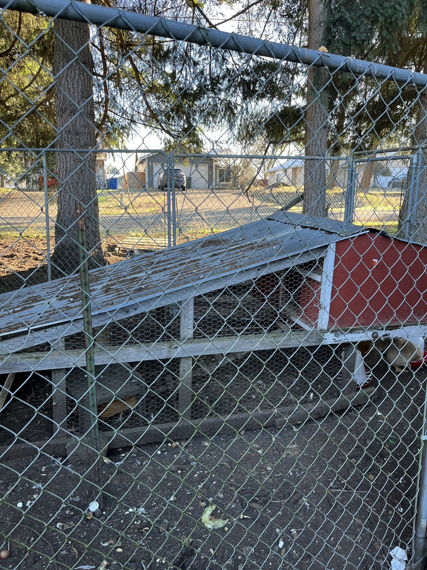 Chicken Tractor