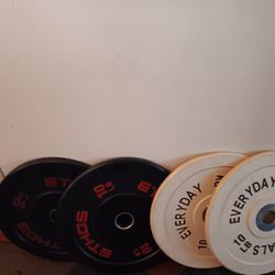 10 Lb  Olympic Bumper Plates 