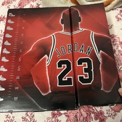 NIKE AIR JORDAN X 10 RETRO CDP SHADOW GREY SIZE 4