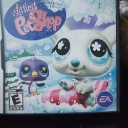 Nintendo Ds Game 