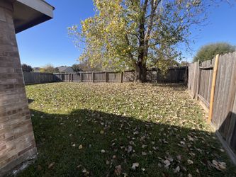 Leaves And Grass