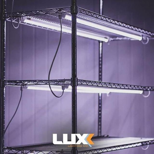 LUXX LED CLONE GROW LIGHTS (2PK) GAVITA FLUENCE GROWERS CHOICE KIND