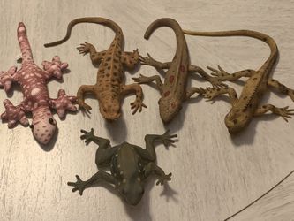Squishy Sensory Lizards (3), - Beanbag Lizard And A Squishy Frog- Used In Great Condition