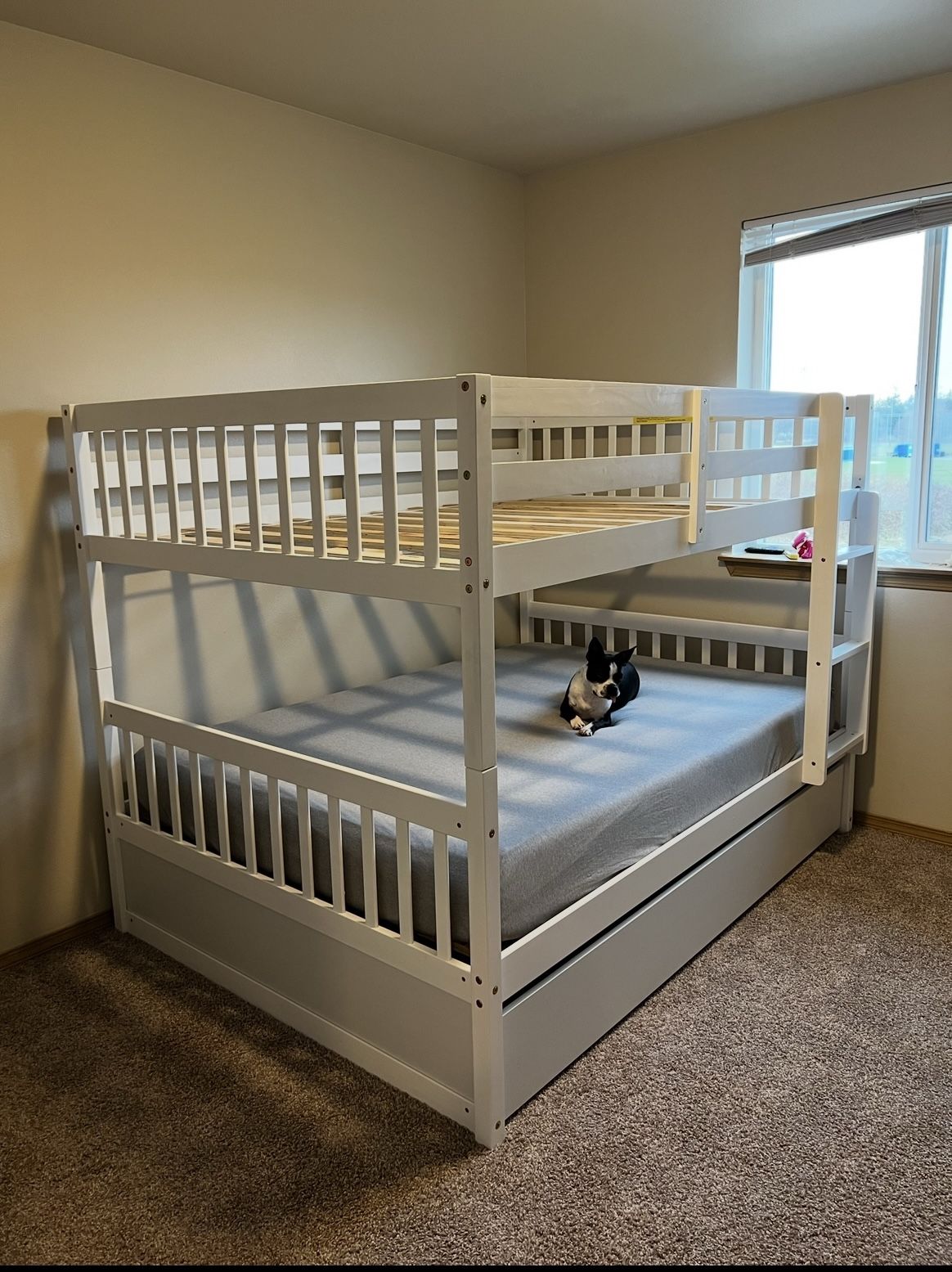 Full Size Bunk Beds