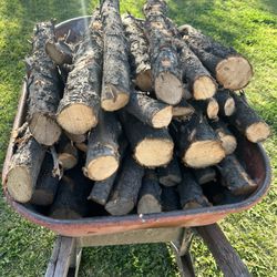 Firewood