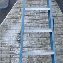 10ft Werner Ladder