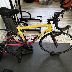 Specialized Road Bike 