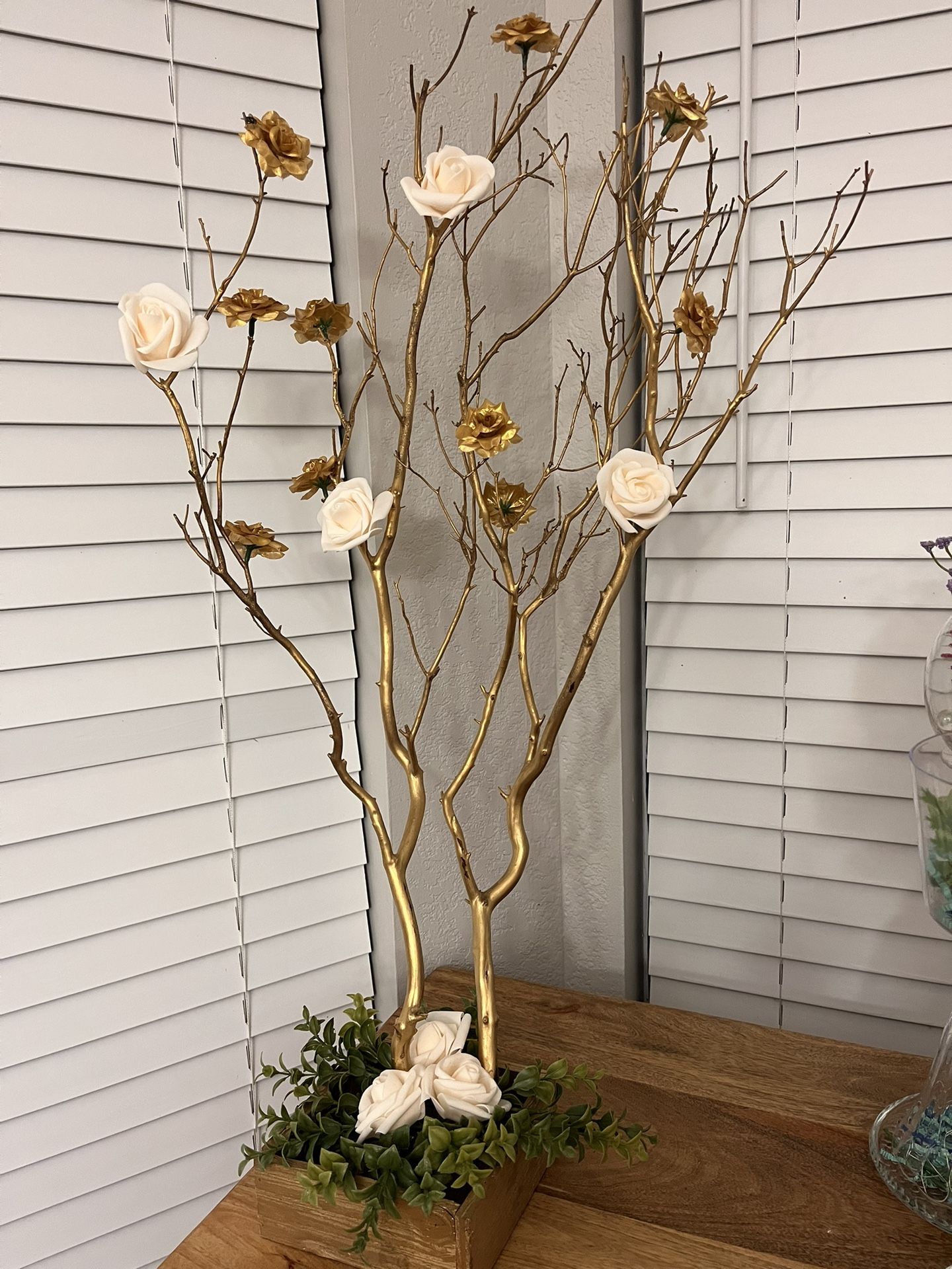 Manzanita tree With Gold And ivory Color Flowers